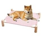Los mejores consejos para elegir una cama resistente para tu perro deportista