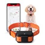 Guía definitiva para elegir el mejor collar GPS para perros Garmin y mantenerlos seguros durante tus actividades deportivas