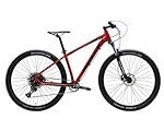 Schwalbe MTB 29: Consejos y recomendaciones para elegir los mejores neumáticos para tu bicicleta de montaña
