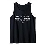 Los mejores consejos y productos para cuidar a tu poni en el deporte