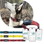 Collar GPS Garmin: La mejor herramienta para seguir a tu mascota durante tus entrenamientos deportivos